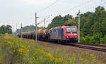 482 011 der SBB Cargo schleppte am 26.08.17 den Chemiezug nach Ruhland durch Burgkemnitz Richtung Wittenberg.
