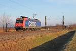 Als Lokzug war am Morgen des 22.12.2016 die Re 482 008-0  Ökotrans  bei Hügelheim unterwegs gen Basel.