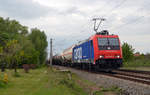 482 046 schleppte am 03.05.20 einen Kesselwagenzug durch Greppin Richtung Bitterfeld.