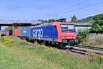 SBBC 482 029 mit einem Containerzug bei Weinheim gen Süden fahrend am 21.9.2021