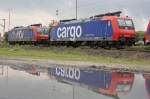 SBB Cargo 482 005 und 482 028 am 14.5.10 mit Spiegelbild in Duisburg-Ruhrort Hafen