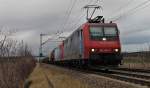 Den BASF-Zug von Ludwigshafen nach Basel wurde am 03.01.2014 von den SBB Cargo Loks Re 482 008-0  Ökotrans  und der Re 482 017-1 bis nach Basel bespannt.