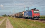 482 012 rollte am 16.08.14 mit einem Güterzug aus Richtung Halle(S) kommend durch Kyhna Richtung Eilenburg.