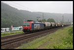 SBB Cargo 482034 war am 25.05.2016 im Elbtal bei Königstein mit einem Güterzug aus Tschechien kommend elbabwärts unterwegs.
