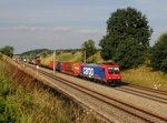 Die Re 482 043 mit einem Containerzug am 02.09.2016 unterwegs bei Ramelsbach.