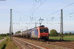 Re 482 006-4 mit einem Kesselwagenzug bei Niederschopfheim 15.5.17