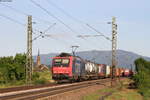 Re 482 000-7 mit einem KV Zug bei Köndringen 17.5.17