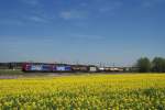 482 xxx und 482 xxx (SBB Cargo) mit einem Gterzug bei Mammendorf (19.04.2007)