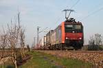 Mit einem langen KLV am 07.04.2017 fuhr Re 482 021-3 bei Hügelheim bei den letzten Sonnenstrahlen durchs Rheintal gen Basel.