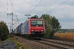 Am Nachmittag des 04.09.2018 fuhr Re 482 032-0 mit einem Containerzug aus Belgien, welchen sie seit Aachen West bespannte, nördlich von Müllheim (Baden) durchs Rheintal in Richtung Schweiz.