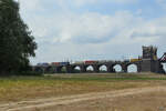 Auf der Hochfelder Eisenbahnbrücke ist gerade ein von der Elektrolokomotive 482 010-6 gezogener Containerzug unterwegs.