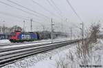 Re482 009-8 donnert ebenfalls mit ihrem Kesselzug durch die Schneepracht,um dann zum Berliner Innenring zu gelangen,Elstal (20.01.10)