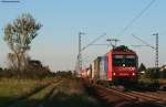 Re 482 028-8 mit einem KLV gen Sden bei Wiesental 21.9.10