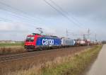 482 040 und die kalte 185 686  Peterson  sind am 20.11.2010
mit einem Containerzug auf der Westbahn bei Marchtrenk
vorbeigerollt.