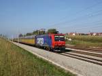 Die Re 482 031 am 24.09.2011 mit einem Autozug unterwegs bei Hattenhofen. 