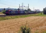SBB: Güterzug mit Doppeltraktion 482 bei Hendschiken am 26. Juni 215.
Foto: Walter Ruetsch