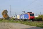 482 004-9 SBB Cargo mit einem KLV Auflieger am 31.10.2015 in Köln Porz Wahn.