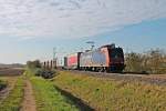 Re 482 003-1 am 31.10.2014 mit einem Kistenzug nach Aachen West nördlich von Müllheim (Baden) bei Hügelheim und fuhr gen Freiburg.