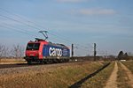 Nachschuss auf Re 482 009-8  Starke Maschine sucht starken Typen!  am 07.02.2015, als sie als Lokzug bei Hügelheim in Richtung Norden fuhr.