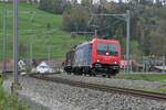 Zwischen Eschigkofen und der Station Müllheim-Wigoltingen zieht am 02.11.2022 Re 484 018 einen aus zwei Güterwagen bestehenden Zug in Richtung Romanshorn