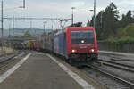 An einem herbstlich-trüben Oktobertag begegnet mir die 484 003 der SBB Cargo auf dem Weg zum Bözbertunnel im Bahnhof Frick.