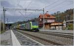 Die BLS Re 485 019 mit einer RoLa Freiburg - Novara bei der Durchfahrt in Muelenen.