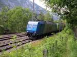 Berner Oberland 2007 - Die Mietlok 185 535-2 und die BLS-eigene 485 012-9 befrdern am 25.07.2007 gemeinsam einen gemischten Gterzug an der Ltschberg-Nordrampe.