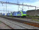 BLS - Loks 485 015 + 485 014 mit Güterzug unterwegs in Pratteln am 05.10.2023 ..