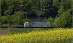 BLS auf Abwegen am Hochrhein bei Etzgen. Hinter Re 486 506-9 ist noch ein wenig Fluss und das deutsche Ufer sichtbar. Mai 2017.