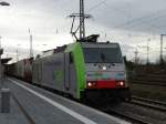 BLS Cargo 486 504 am 14.11.15 mit KLV in Mannheim Friedrichsfeld 