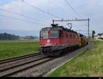 SBB - Re 6/6  620 043-0 vor Güterzug unterwegs in Busswil am 12.04.2019