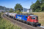 Re 6/6 11676  Zurzach  ist mit einem Kesselzug unterwegs nach Cornaux, aufgenommen bei Niederbipp am 12.08.2022.