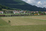 SBB: Güterzug mit der Re 6/6 11652 Kerzers in der Landschaft bei Niederbipp am 22.