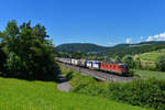 Re 6/6 11631 mit einem Güterzug am 23.06.2016 bei Zeihen. 