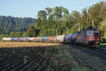 Re 620 051-3  DORNACH / ARLESHEIM  im herbstlichen Emmental unterwegs am 12.