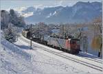 Anstelle einer der 189 Stammloks zog an diesem herrlichen Wintertag die SBB Re 620 087-7  Bischofszell  den Novellis Güterzug von Sierre nach Göttingen bis Basel.