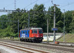 Güterverkehr in Zweidlen vom 21. Juli 2021.
Re 620 083-6  AMSTEG-SILENEN  als Lokzug.
Fotostandort: Öffentlich zugänglicher Weg, Bildausschnitt Fotoshop.
Foto: Walter Ruetsch 