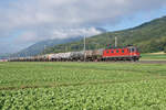 Re 620 066-1  Stein am Rhein  mit einem Kesselwagenzug zwischen Oensingen und Oberbuchsiten am 1. September 2021. Noch hatte sich der erste Herbstnebel nicht ganz aufgelöst.
Foto: Walter Ruetsch