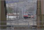 Whrend ein RBDe 560 NPZ Landquart Richtung Ziegelbrcke verlsst, nhert sich die Re 6/6 11631 mit einem Oelzug der Brcke ber die Landquart. (16.01.2008)