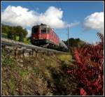 Kesselzug mit der Re 6/6 11635  vor Schinznach-Dorf.
14.Oktober 2019