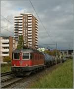 Die Re 6/6 11684 mit einem Ölzug bei Grenchen am 19. Sept. 2010.