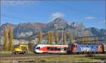 Zugkreuzung in Sargans mit Gleisbagger. Ein Ringzug der SOB mit 526 052-6 Schnabelsberg begegnet Re 620 012-5 mit einem Güterzug Richtung Zürich. Freundlicherweise dekoriert der Gleisbagger die linke Bildseite ganz passend. November 2015.

Eigentlich hatte ich einen rangierenden Güterzug im Blick, daher bitte ich die leichte Bewegungsunschärfe zu entschuldigen... 