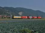 SWISS RAIL TRAFFIC AG
Rem 487 001 bei Oberbuchsiten unterwegs am 20. August 2018.
Foto: Walter Ruetsch