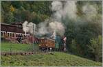 La DER de la Saison 2023  - Während im Hintergrund in der Lokbehandlung geraucht und gedampft wird surrt die prächtige RhB Bernina Bahn Ge 4/4 81 mit ein Reisezug in Richtung Blonay.