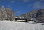 Die MOB Ge 4/4 8004 ist bei Les Avant mit einen GoldenPass Panoramique auf dem Weg von Zweisimmen nach Montreux. 

2. Dezember 2020