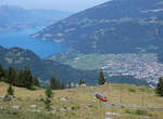 Was f�r eine pr�chtige Landschaft! Blick aus dem voraus fahrenden Zug Richtung Tal: rechts ist Interlaken, links der Thunersee zu sehen. Wilderswil - Schynige Platte, 22.7.2026