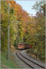  LA DER 2020 du Blonay-Chamby  / Saison Abschluss der Blonay-Chamby Bahn: Mit einem verstärkten Fahrplan und viel Dampf wird vor dem  Winterschlaf  (bzw.