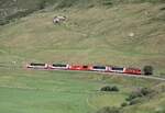 Am 05.07.2026 f�hrt der Glacier Express durch Wiesen und an B�schen vorbei  zwischen Realp und Hospental in Richtung St. Moritz.