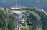 Ein schwarzer Vogel fliegt ins Bild, währenddessen der Bernina-Express von St.