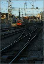 Knapp ber den Gleisen schweben erste flache Morgensonnenstrahlen ber das Gleisvorfeld von Genve und erhellen unbersehbar die Front eines NPZ auf der Fahrt von Lancy Pont Rouge nach Coppet.